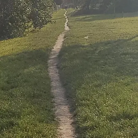 Hardtwald فندق باد هومبرغ فور دير هوه