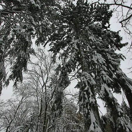 Szálloda Hardtwald