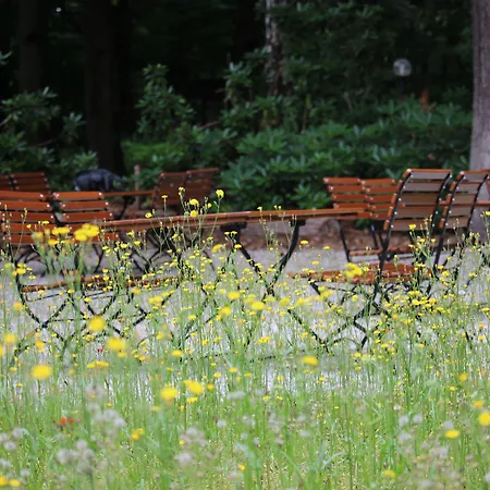 Hardtwald باد هومبرغ فور دير هوه