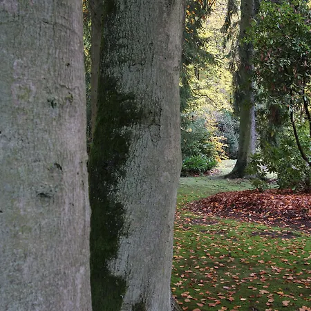 Hardtwald فندق 4*