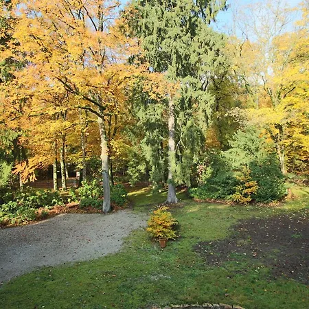 فندق Hardtwald 4*