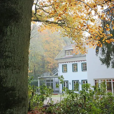 Hardtwald Bad Hombourg