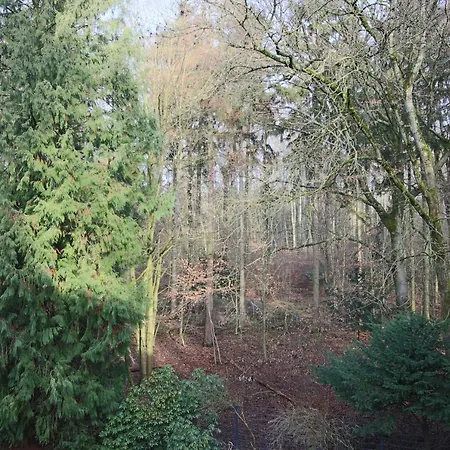 Hardtwald Bad Hombourg