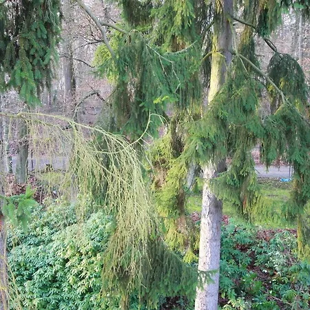 Hardtwald Szálloda Bad Homburg vor der Höhe