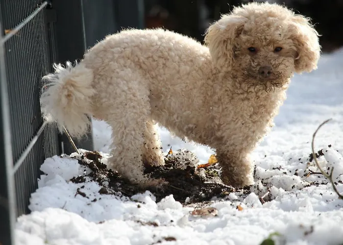 Szálloda Hardtwald 4*