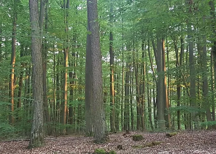 Hardtwald 4* Bad Homburg vor der Höhe