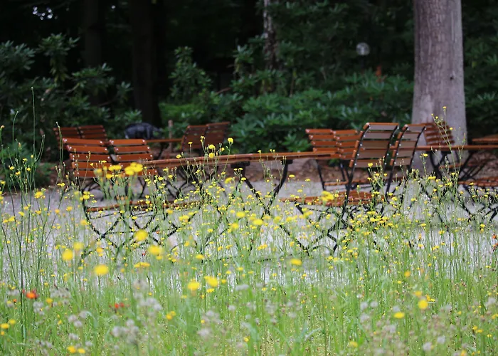 Hardtwald Bad Homburg vor der Höhe