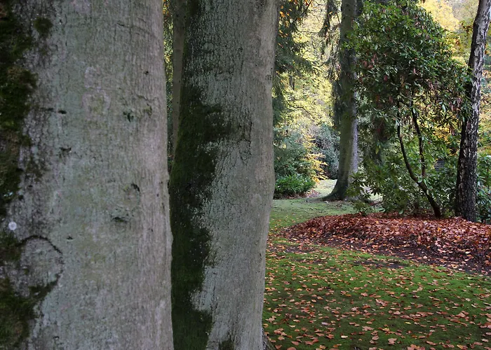 Hardtwald Szálloda 4*