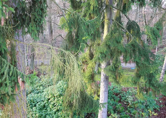 Hardtwald Szálloda Bad Homburg vor der Höhe