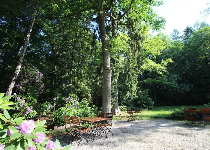 Hardtwald Bad Homburg vor der Höhe